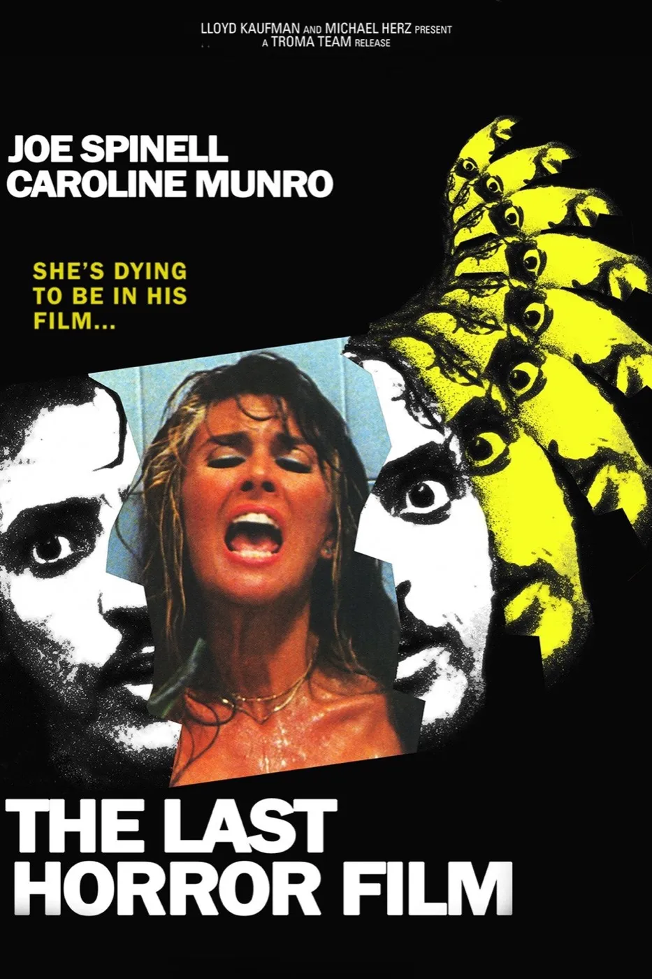 Poster for The Last Horror Film