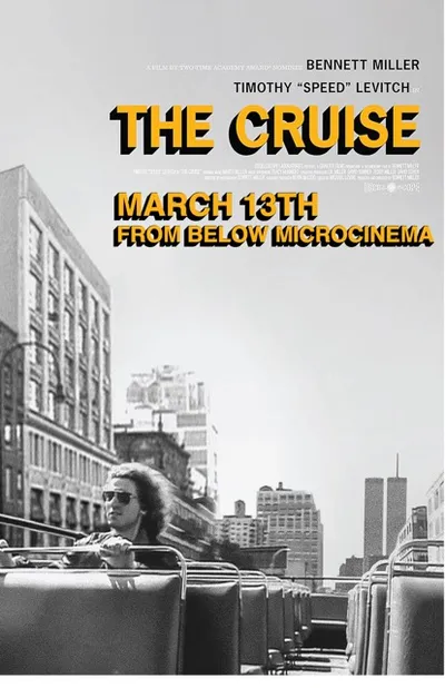 Poster for The Cruise
