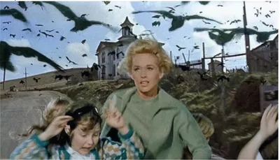 Poster for The Birds